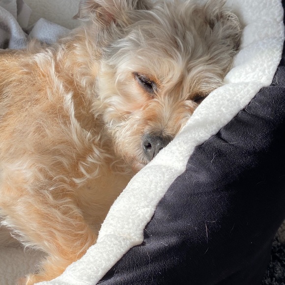 Meet your Posher, Linda - Picture 1 of 1